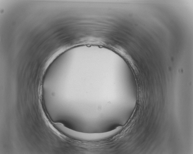 X0000086071383200704202115