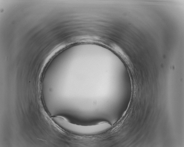 X0000086071384200704202115