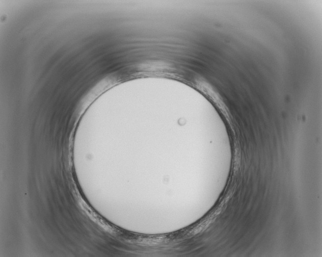 X0000086071386200704202115