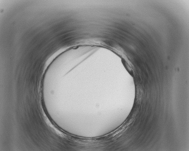 X0000086071387200704202115