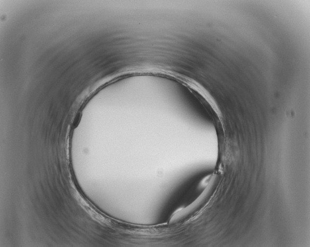 X0000086071388200704202115