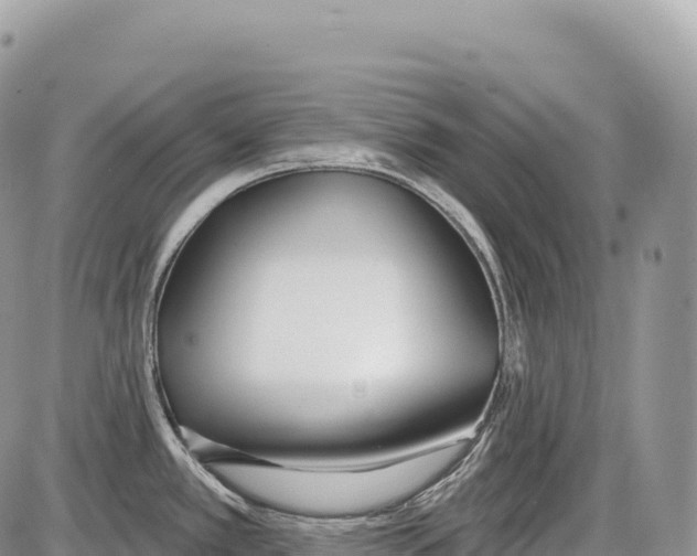 X0000086071389200704202115