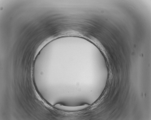 X0000086071390200704202115