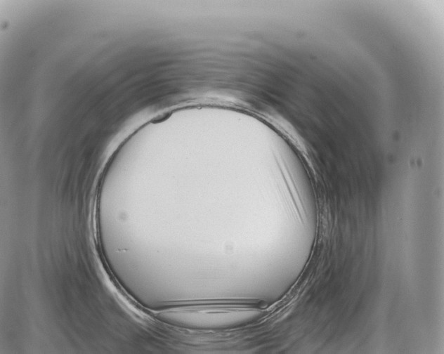 X0000086071391200704202115