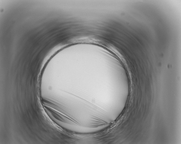 X0000086071392200704202115