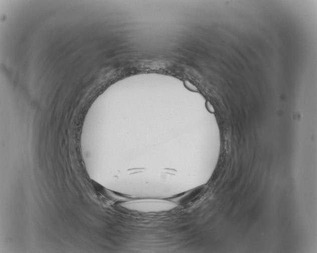 X0000086071393200704202114