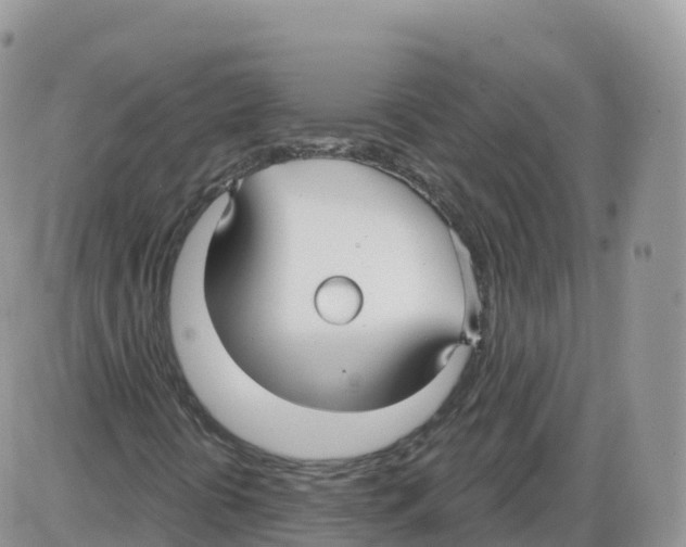 X0000086071394200704202114