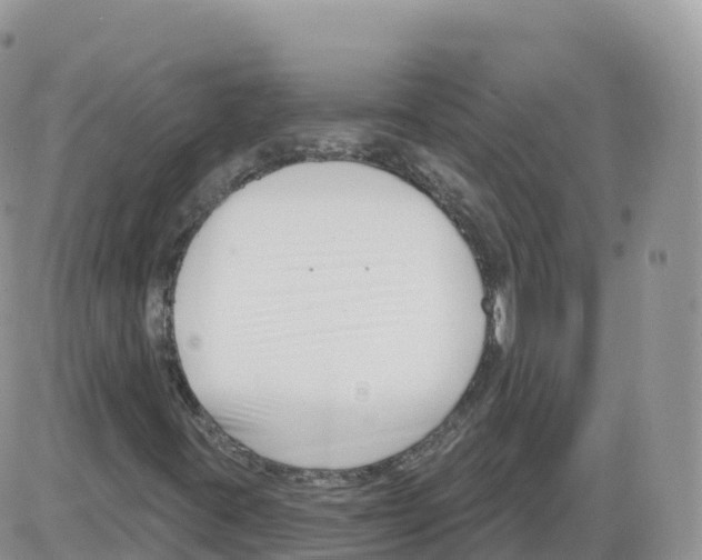 X0000086071395200704202114