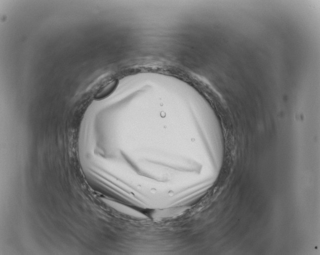 X0000086071399200704202115