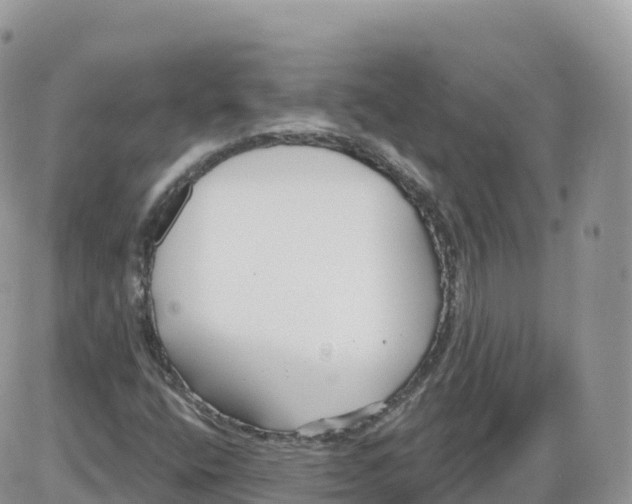 X0000086071400200704202115