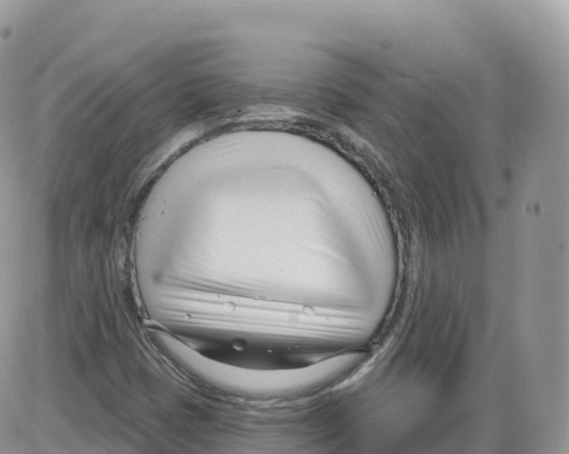 X0000086071401200704202115