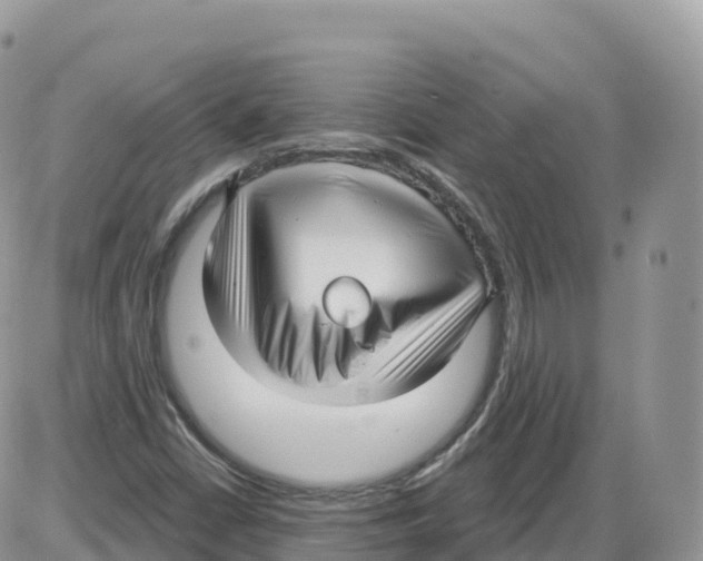 X0000086071402200704202115