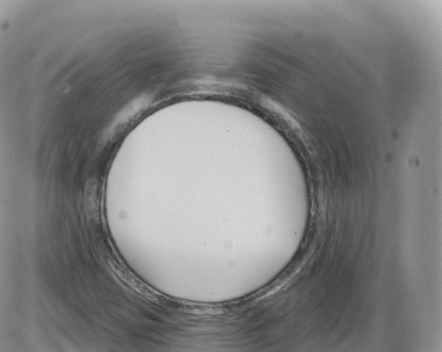 X0000086071403200704202115