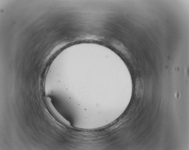 X0000086071404200704202115