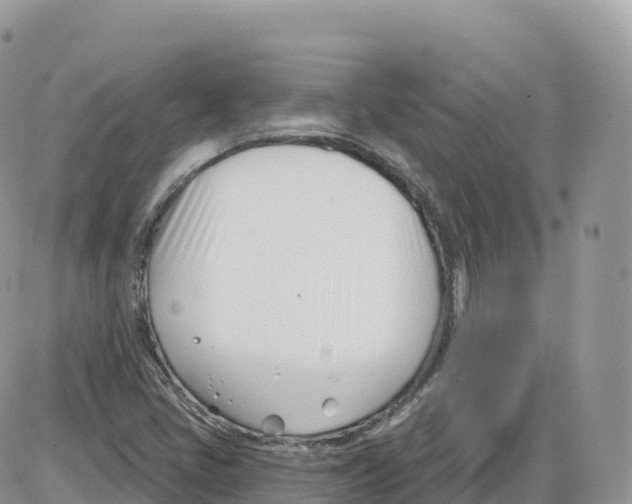 X0000086071405200704202115