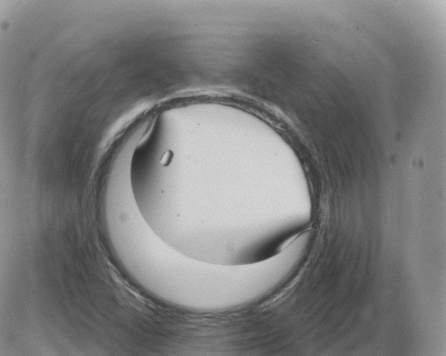 X0000086071406200704202115