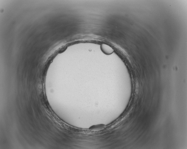 X0000086071407200704202115