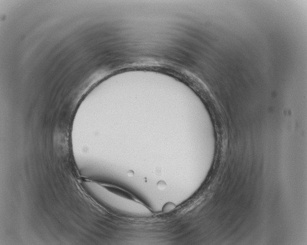 X0000086071409200704202115