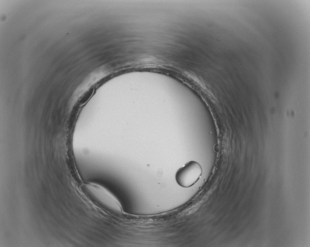 X0000086071410200704202115