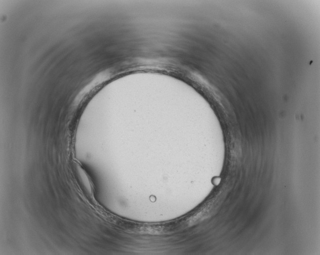 X0000086071411200704202115