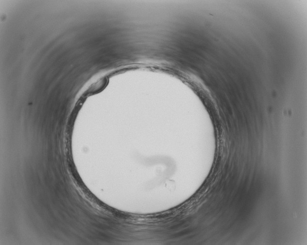 X0000086071412200704202115