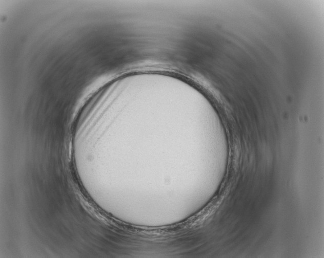 X0000086071413200704202115