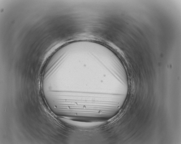 X0000086071415200704202115