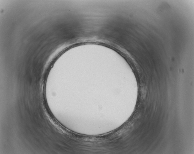 X0000086071416200704202115