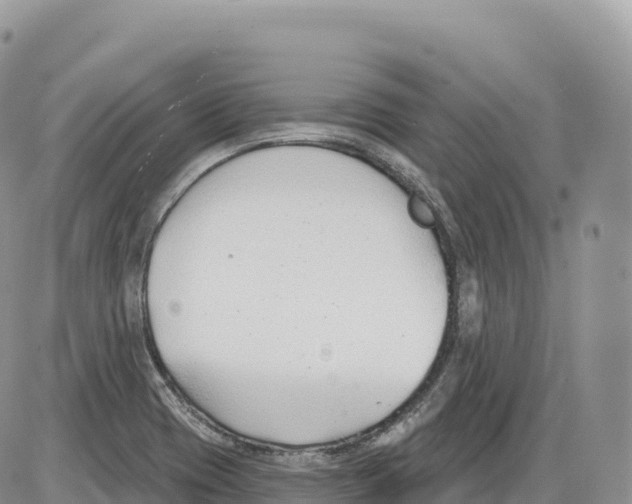 X0000086071417200704202115