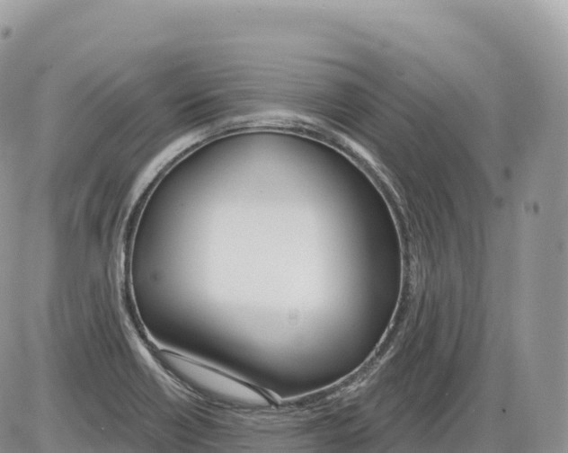 X0000086071418200704202115