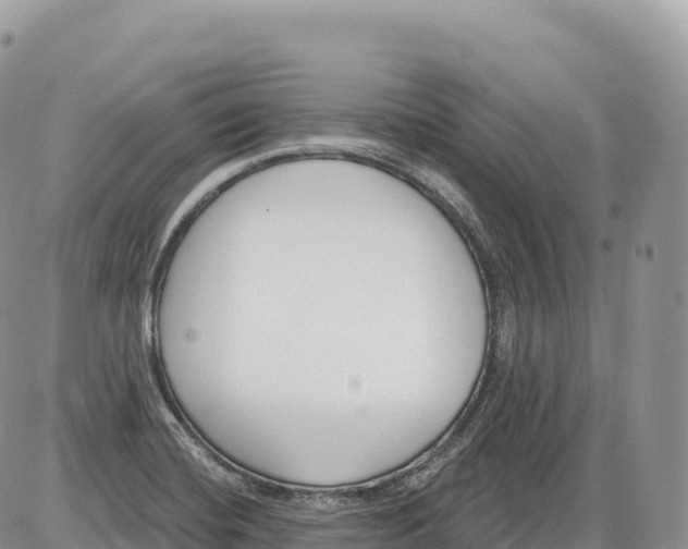 X0000086071420200704202115