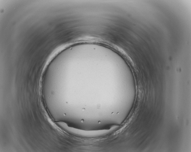 X0000086071421200704202115