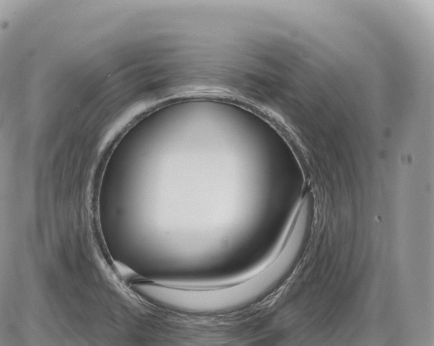 X0000086071422200704202115