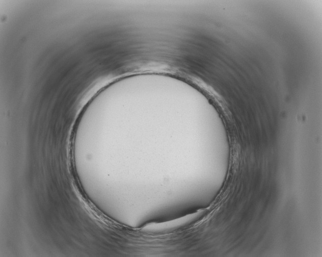 X0000086071423200704202115