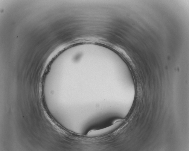 X0000086071424200704202115