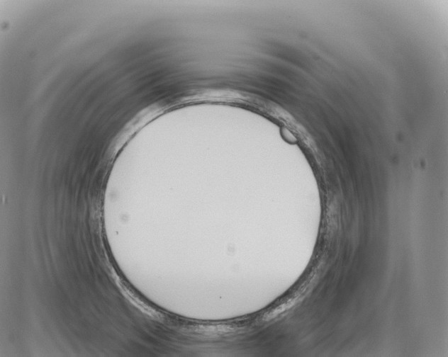 X0000086071425200704202115