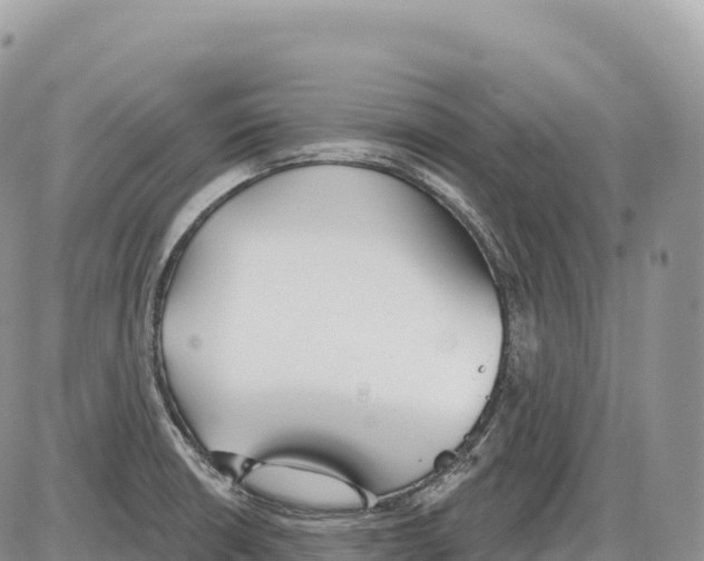 X0000086071426200704202115