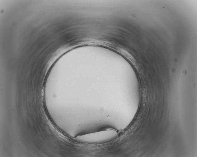 X0000086071428200704202115