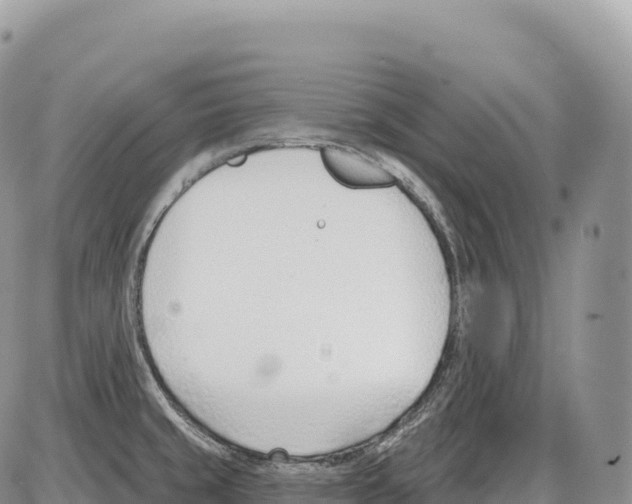 X0000086071429200704202115