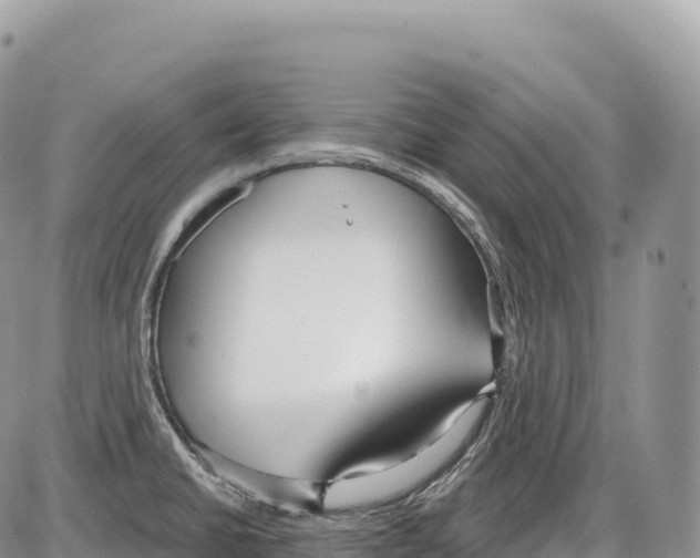 X0000086071430200704202115