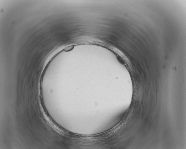 X0000086071431200704202115