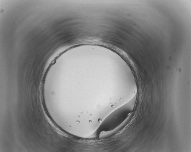 X0000086071432200704202115