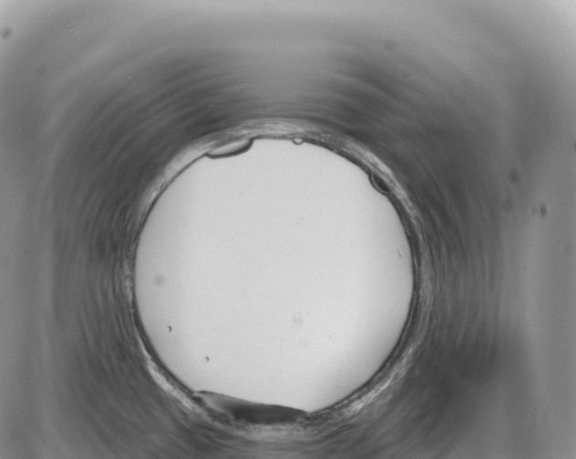 X0000086071433200704202115