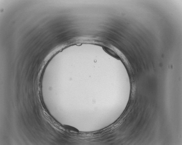 X0000086071435200704202115