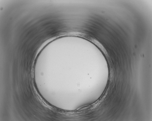 X0000086071436200704202115