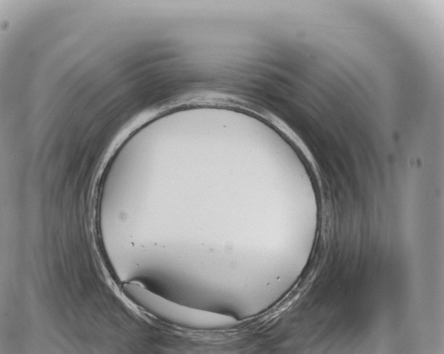 X0000086071437200704202115