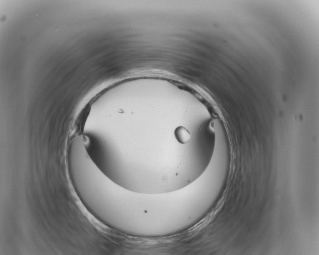 X0000086071438200704202115