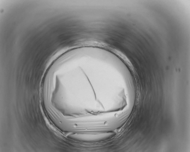 X0000086071439200704202115