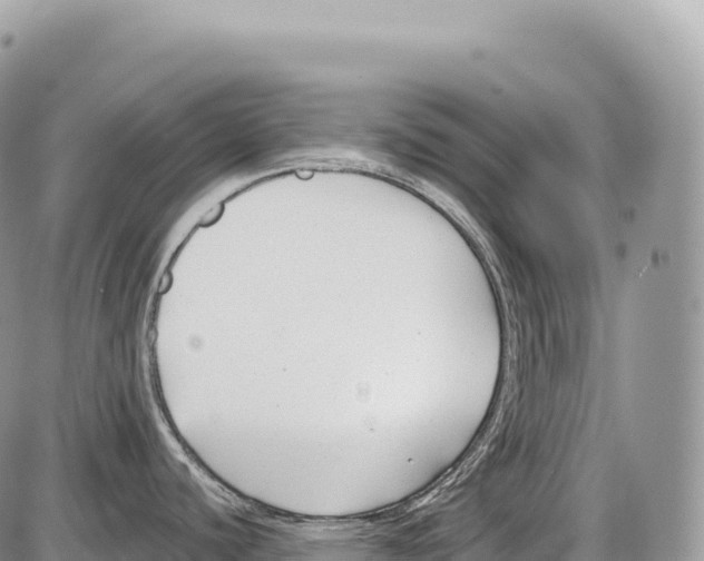 X0000086071440200704202115