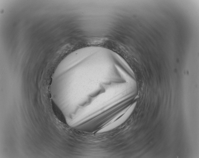 X0000086071441200704202114